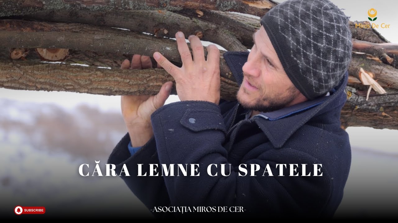 Căra lemne cu spatele... | Oprește frigul