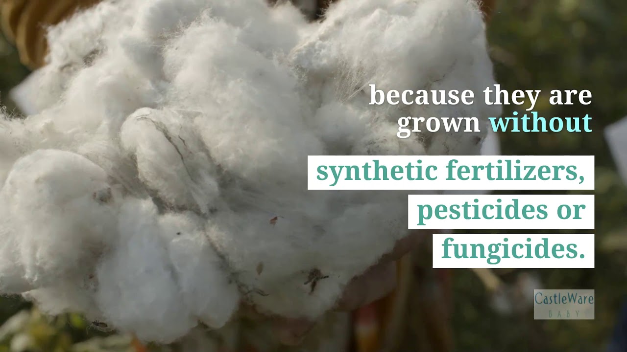 What&rsquo;s Better for Your Child, Bamboo or Organic Cotton?