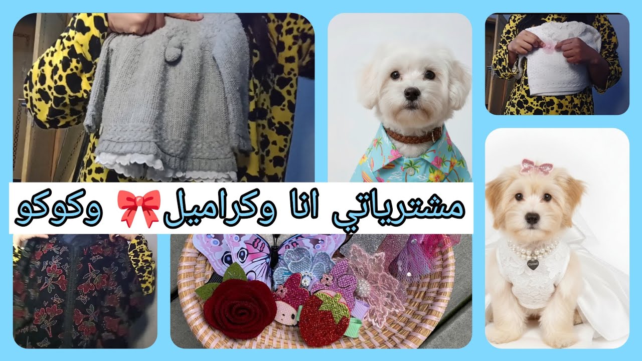 مشترياتي🛍️انا وكوكو🥥و كراميل🍮