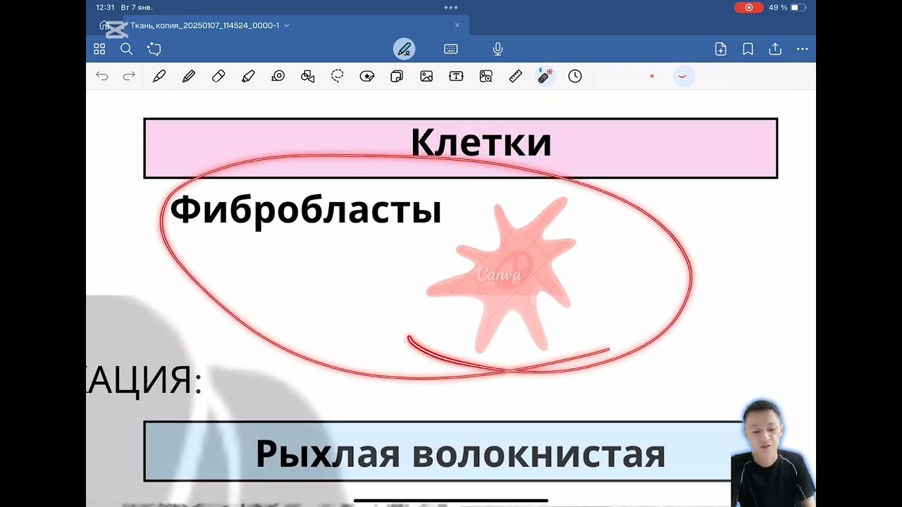 4. Соединительная ткань