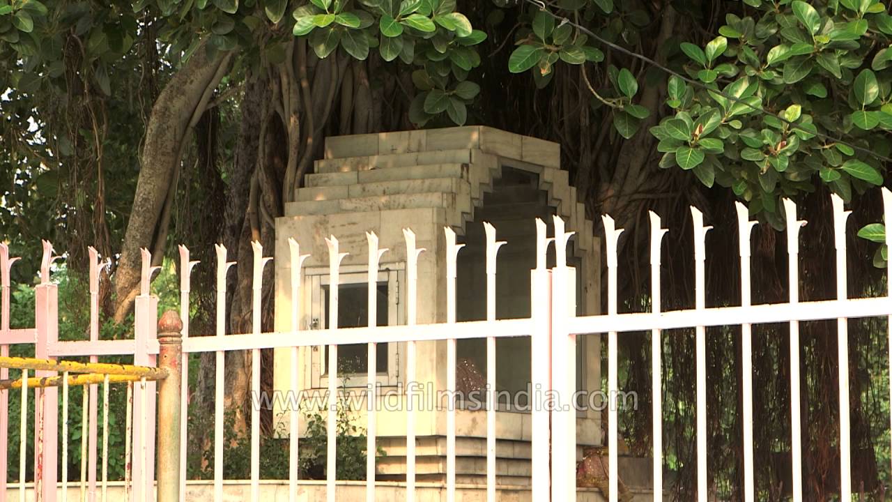 Immortal Banyan tree - witness of celestial song of Bhagwad Gita