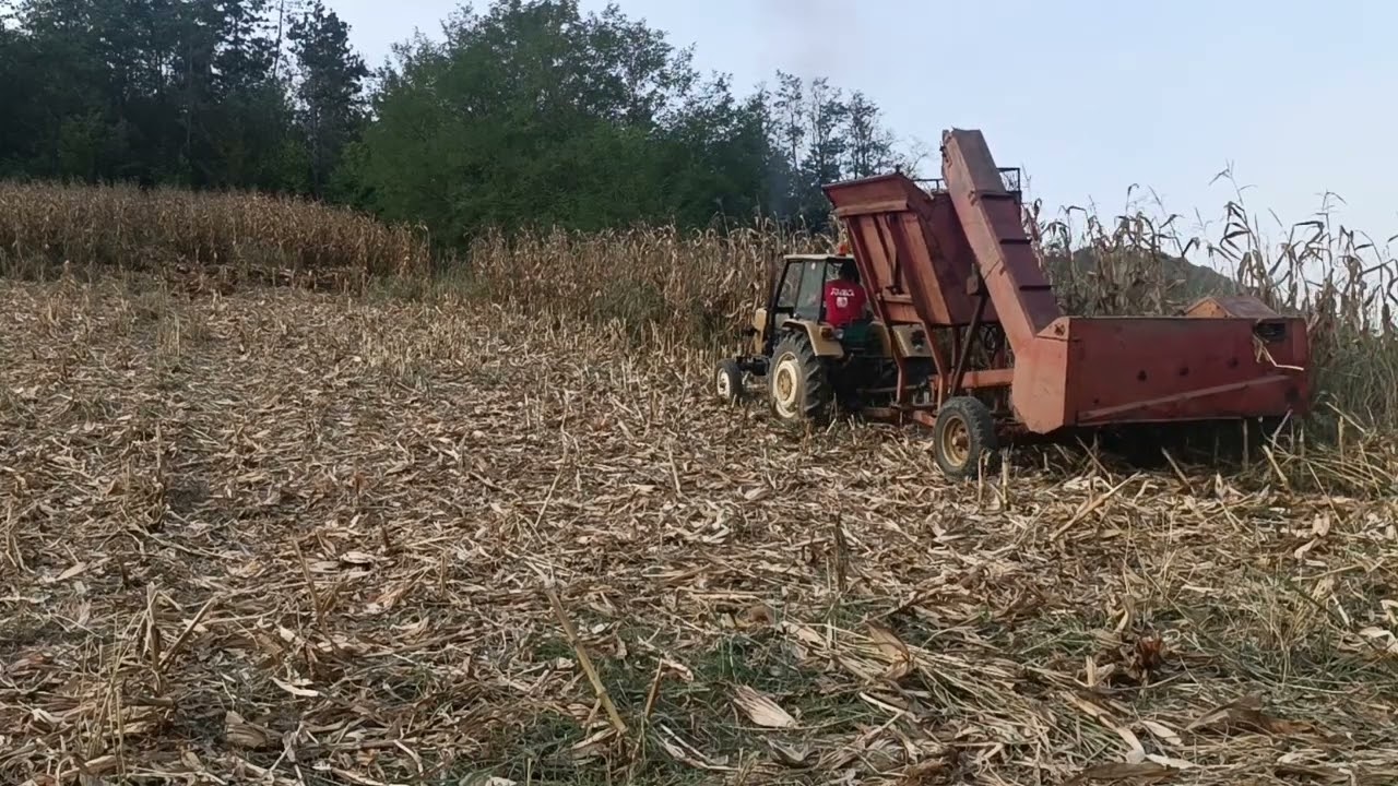 Corn Combine Harvester in hills /Vuceni berac u brdu /Zbieracz kukurydza /X URSUS