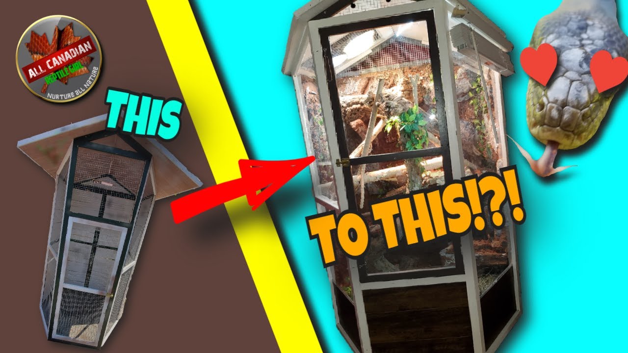 Moving An 8.5' Snake Into A $40 Bird House!? | Macklots Python Upgrade!