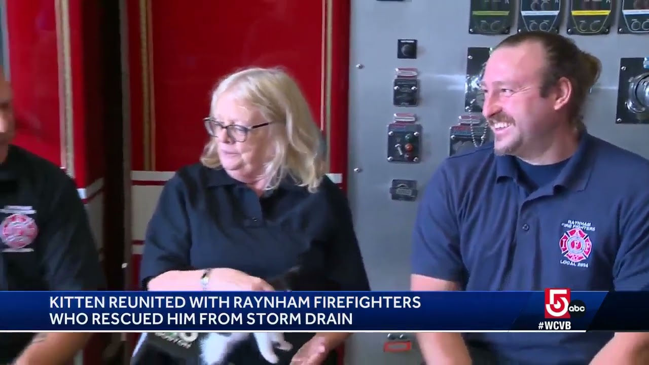 Mass. firefighters rescue itty bitty kitten from storm drain