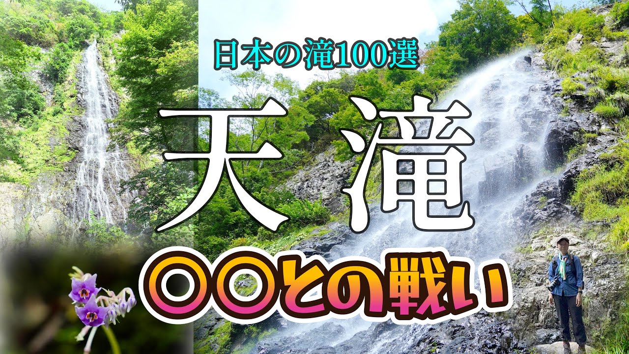 【天滝】大迫力！滝の真下まで行ける｜落差98m！日本の滝百選…でも〇〇に注意して⚠️絶対に負けられない因縁の戦いがここにある｜養父市ハイキング｜