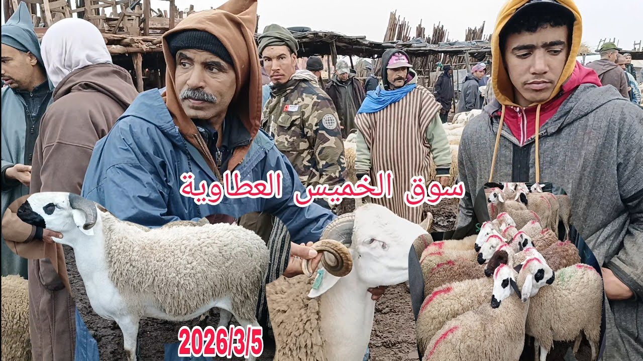 مباشره من سوق الخميس العطاوية باقليم قلعة السراغنة بتاريخ 2026/3/5 مع أتمنة حولي ديال العيد وخروفة 🐏