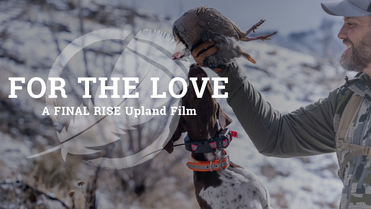 FOR THE LOVE - A FINAL RISE Upland Hunting Film | 4K