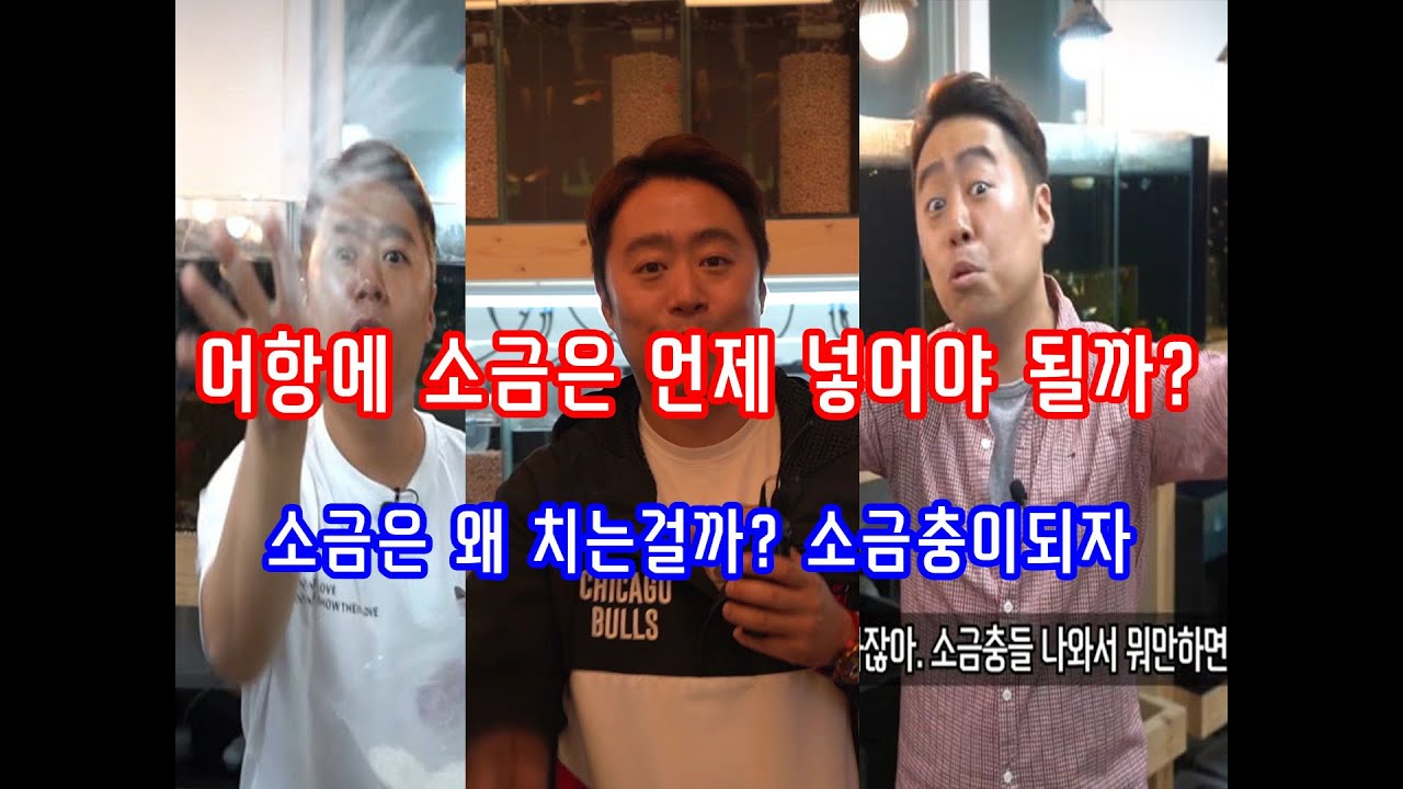 어항에 소금을 왜 넣는건가요? 언제 넣어야할까요? 소금충이되자!