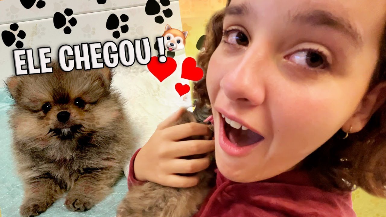 BUSCANDO O MEU CACHORRINHO-CHOREI