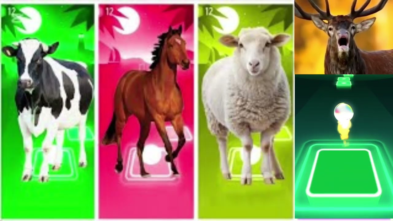 Funny Ferdinand🐃🆚Funny Horse🐎🆚Funny Sheep🐑🆚Funny Deer🦌