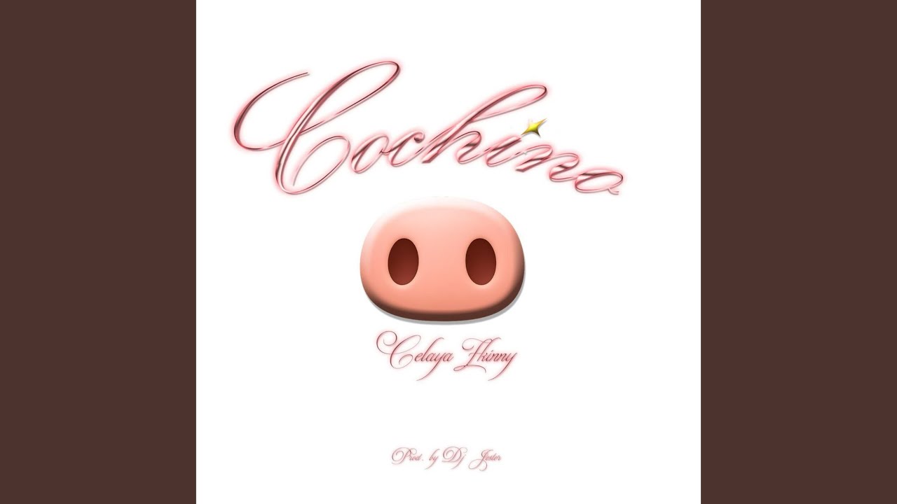 Cochino