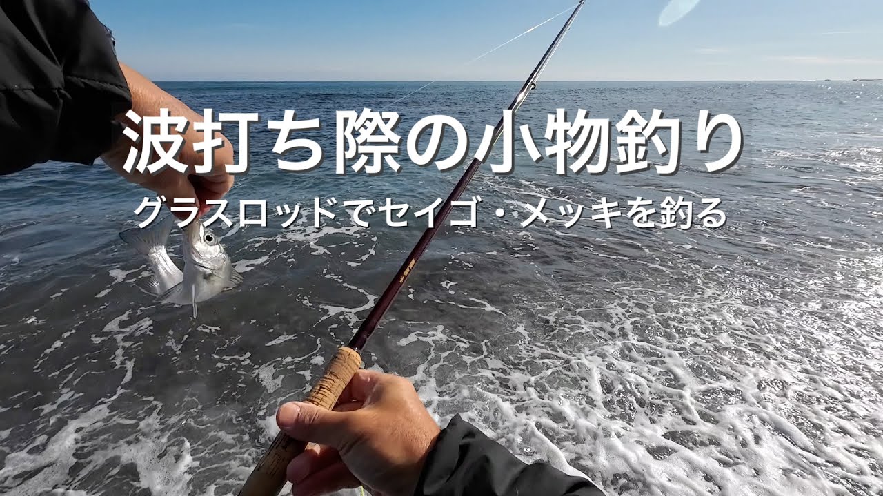 波打ち際でセイゴ・メッキ釣り　海のフライフィッシング
