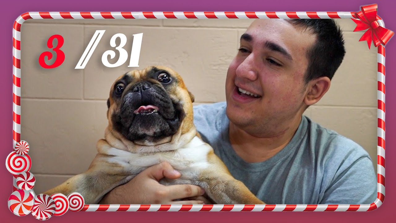 Poklanjamo DAMBA (Prank)! VLOGMAS (Sezona 3) 3/31