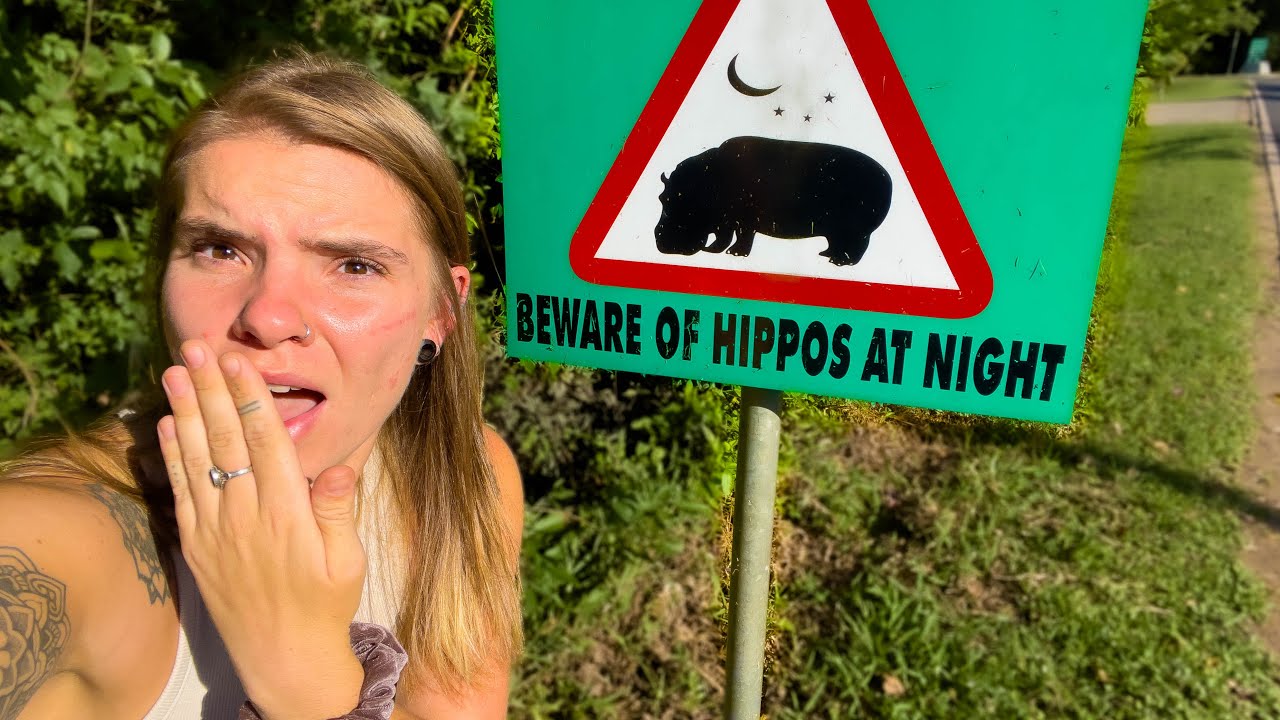 St. Lucia South Africa | The Town Swarmed by HIPPOS