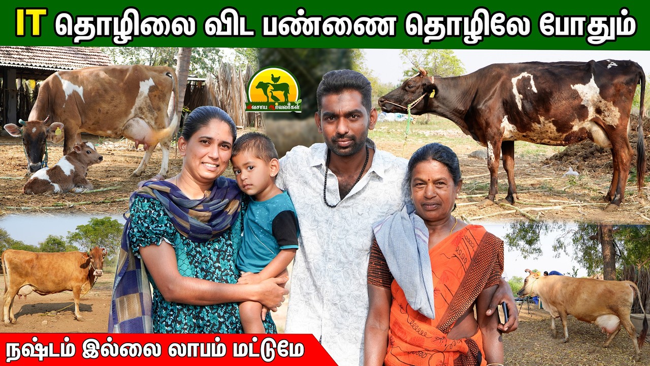 மாடு வச்சிருந்தா தான் பொண்ணு குடுப்பேன்னு எங்க அப்பா சொன்னாங்க 😄#cowfarm