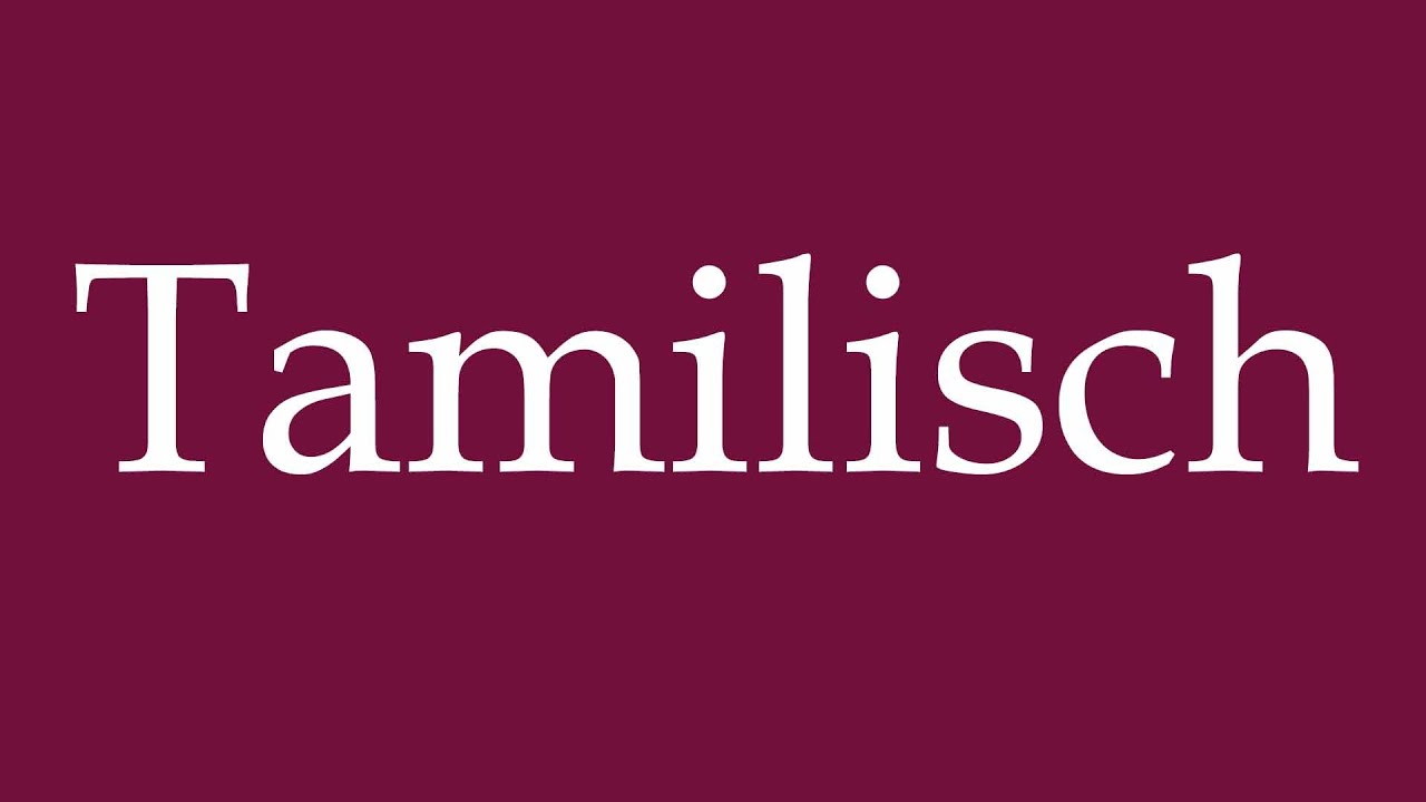 How to Pronounce ''Tamilisch'' Correctly in German