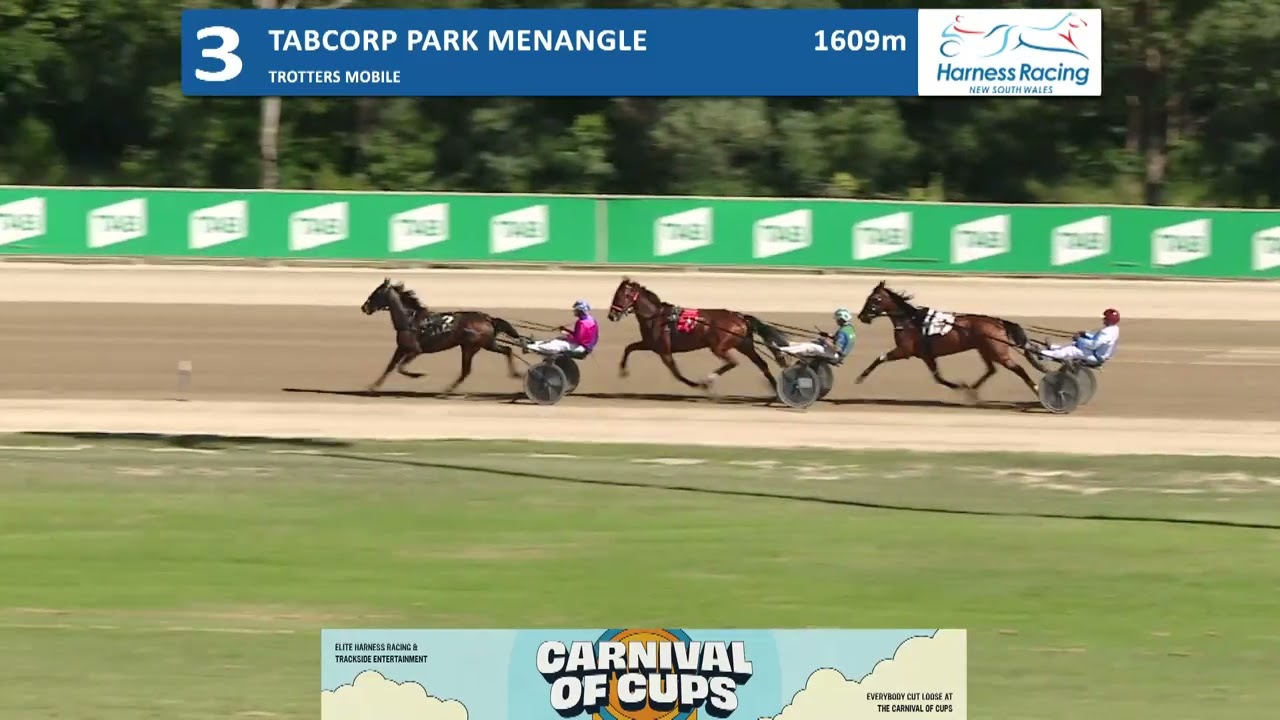 Fabio ( Sunset Hill ) Trial, Tabcorp Park, Menangle, 18th February 2026 🤙.
