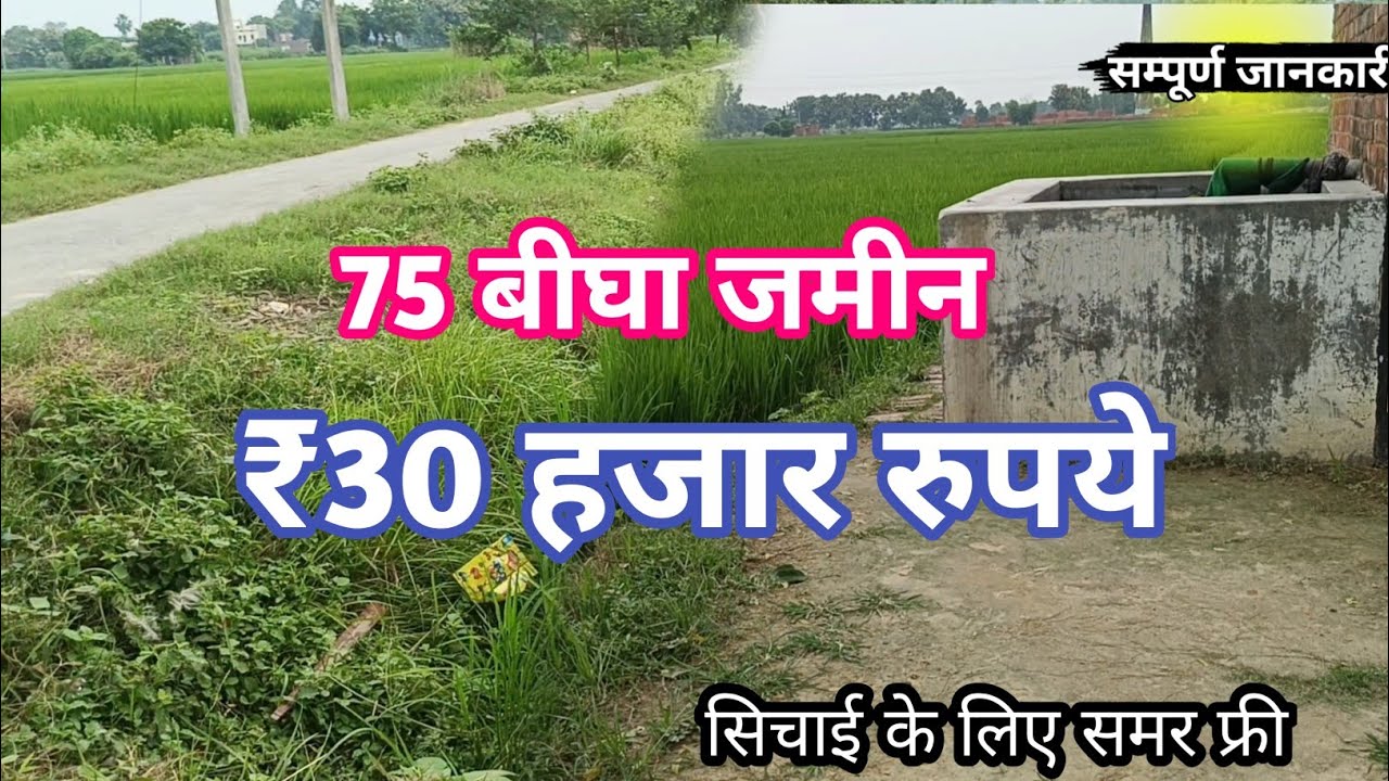 75.बीघा जमीन बिकाऊ हैं मात्र ₹30 हजार प्रति बीघा में agricultur land for sale