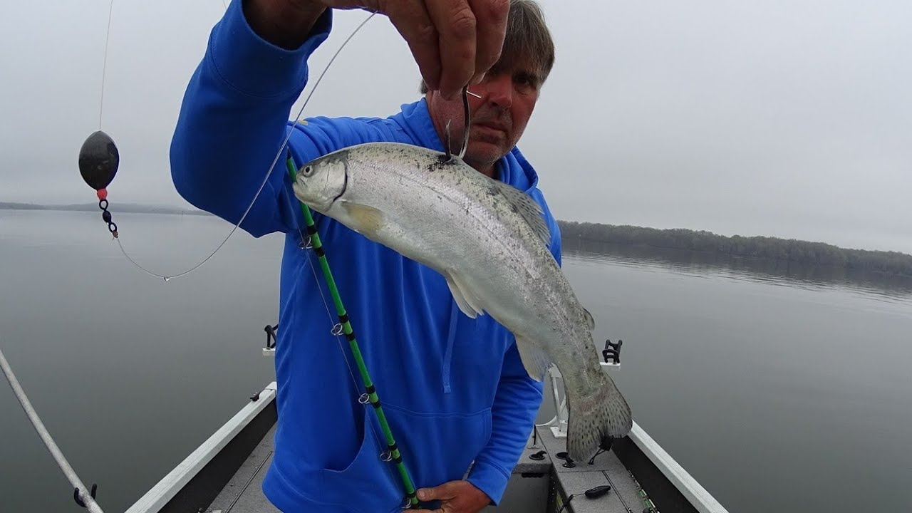 Will Anything Eat This Live Trout???