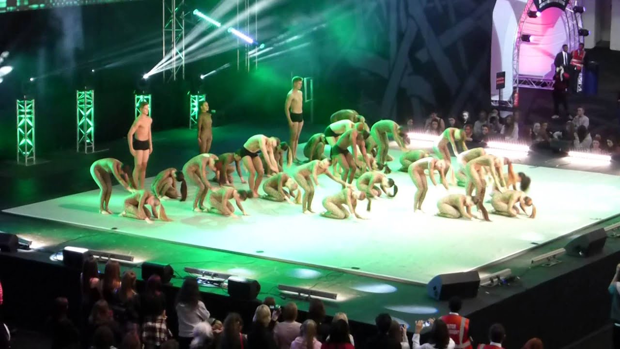 Wilkes Academy @ Move-It 2015. Lion king