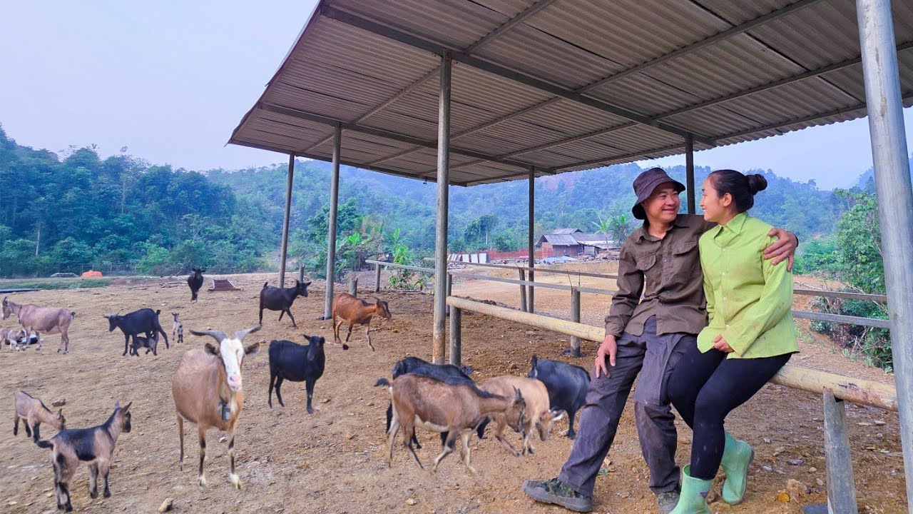 Phan and Chieu built the goat shed themselves: they poured all their love into the farm.