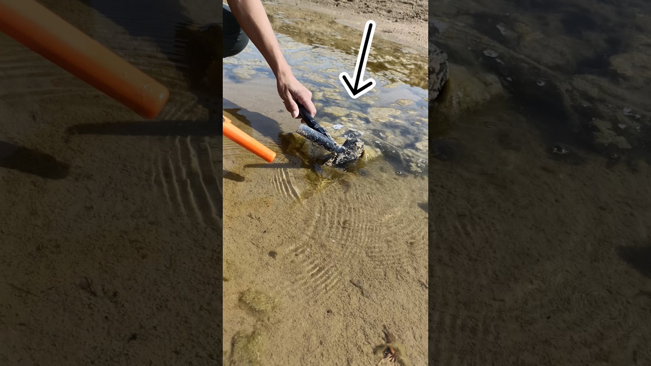 River treasure hunt with metal detector #metaldetecting #treasurehunting #findgold #shortsfeed #yt