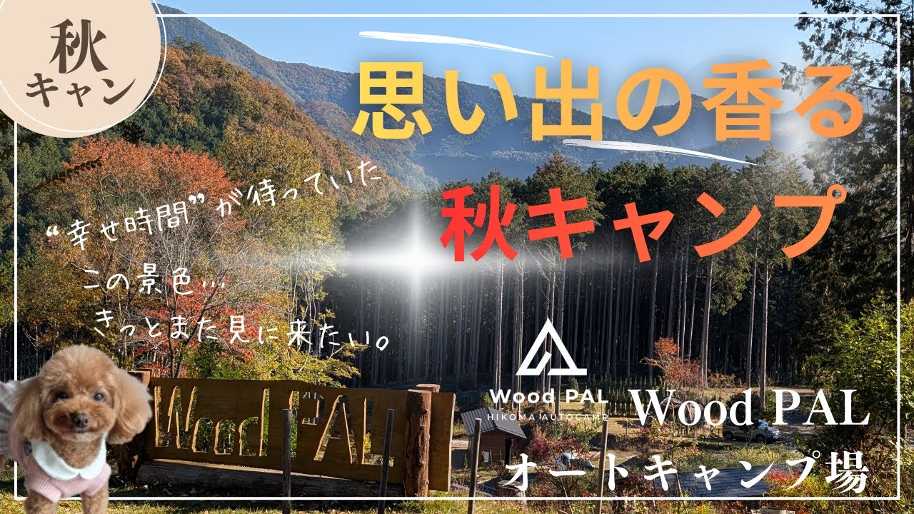 【WoodPAL飛駒オートキャンプ場】２度目の訪問。秋の山々が織りなす絶景と清潔な設備が魅力