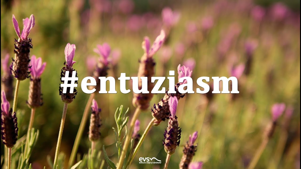 #entuziasm | Devoțional &bdquo;Sensuri și contra-sensuri&rdquo;