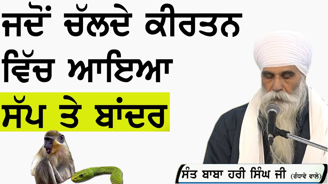 ਜਦੋਂ ਚੱਲਦੇ ਕੀਰਤਨ ਵਿੱਚ ਆਇਆ ਸੱਪ ਤੇ ਬਾਂਦਰ - Sant Baba Hari Singh Ji Randhawe Wale #KathaVichar