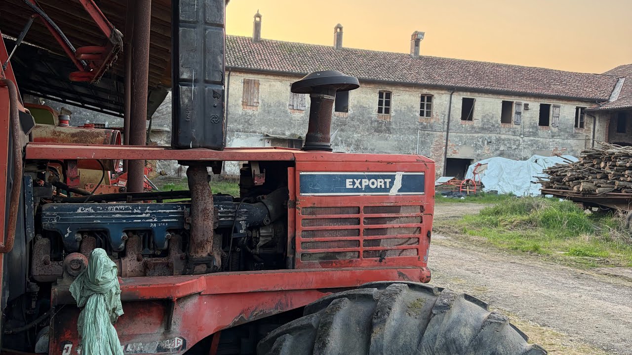 RIPORTIAMO IN VITA LA TIGRE ! SAME JAGUAR 100