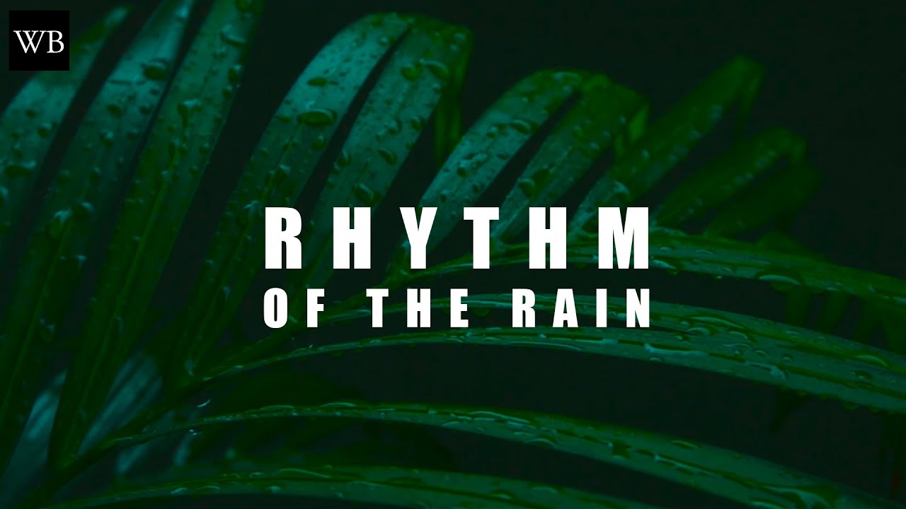 Rhythm Of The Rain | Cinematic Video | Monsoon | India