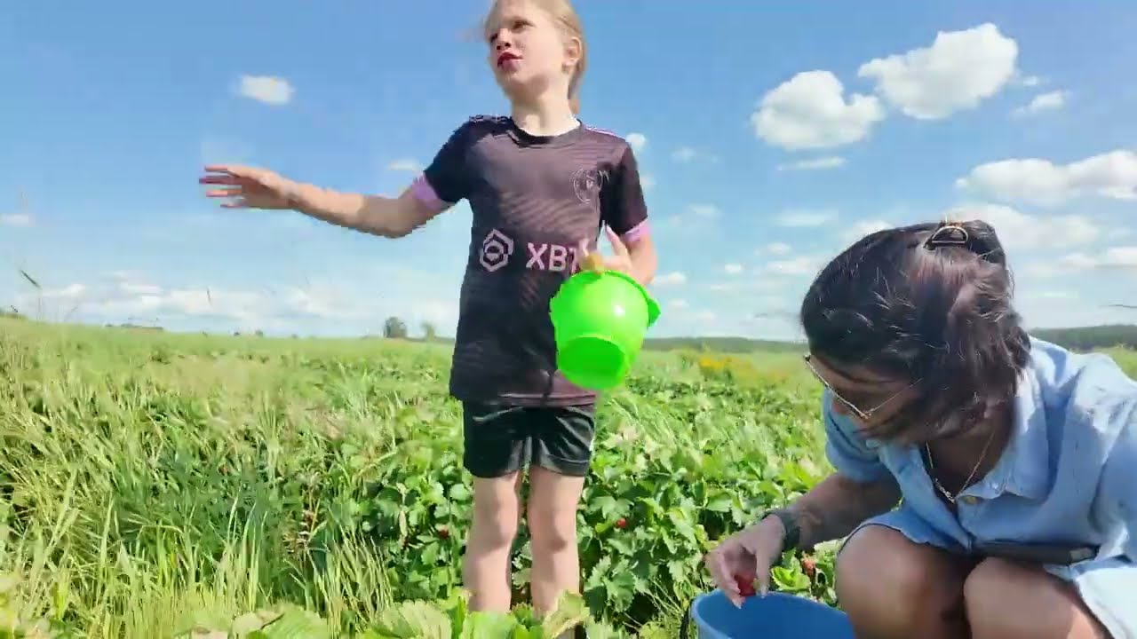Familjen Johansson - Vlogg - Vi plockar jordgubbar i Lundby gård