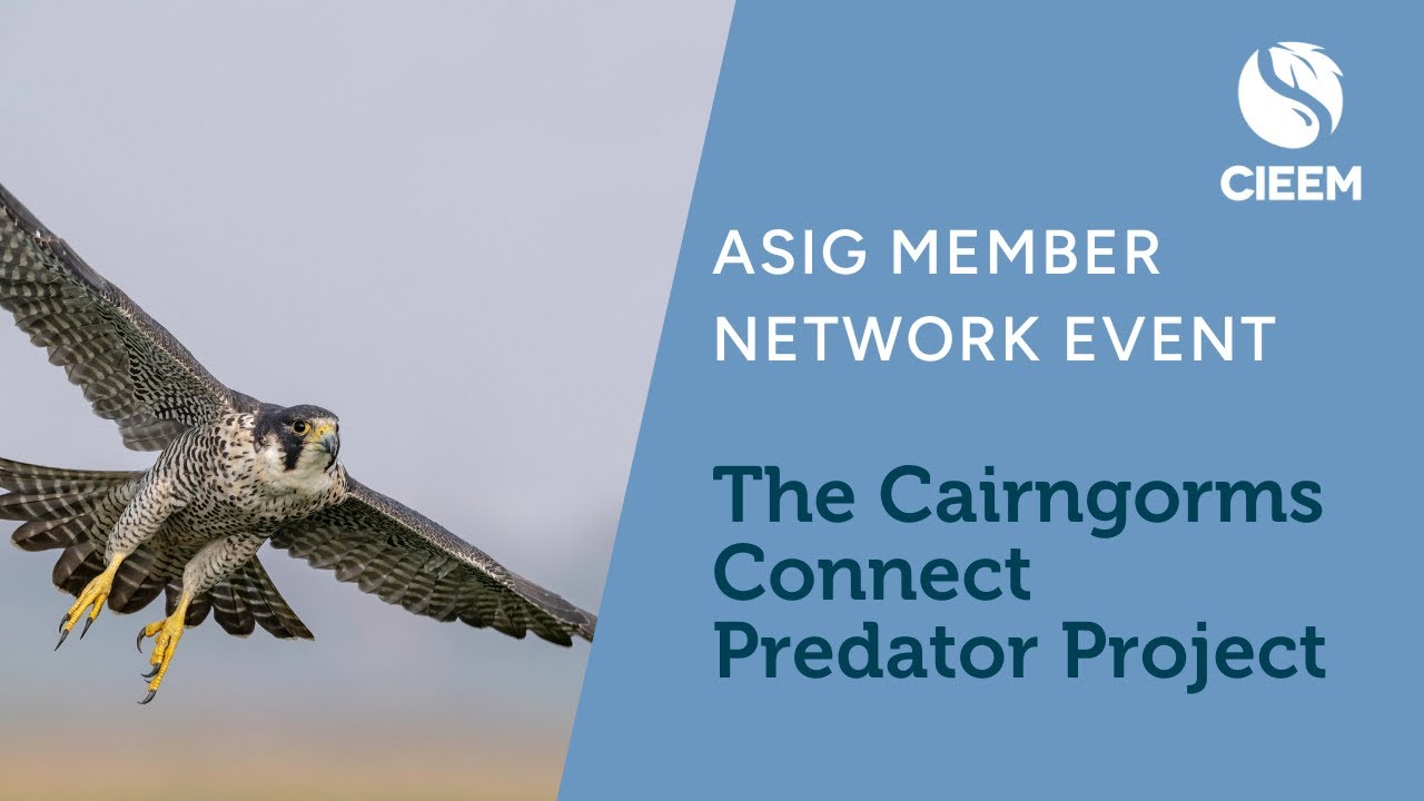 ASIG meeting March 2023 - The Cairngorms Connect Predator Project