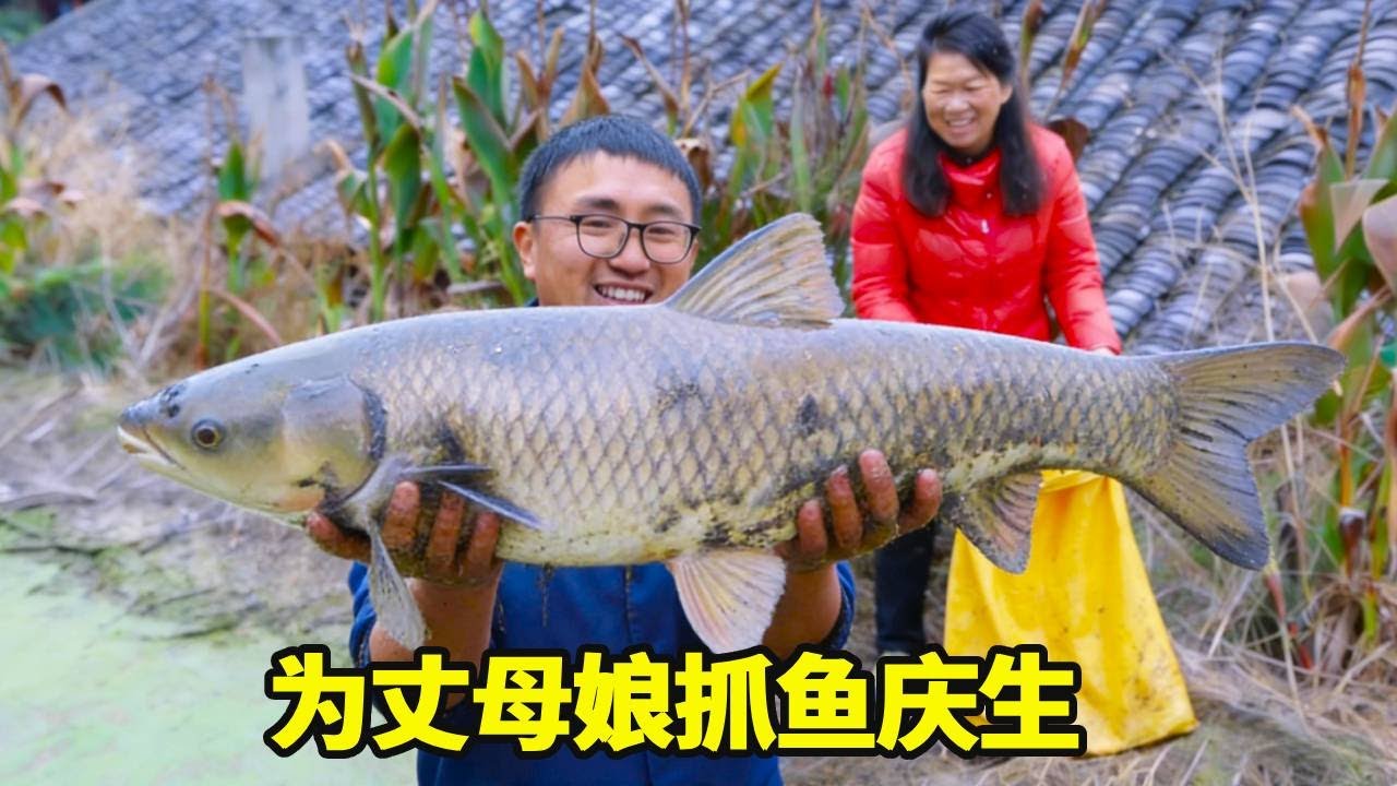 丈母娘要过54岁生日，冬宝为给丈母娘庆生，去抓山泉水养的稻花鱼给丈母娘炖着吃！！【湘西冬宝】