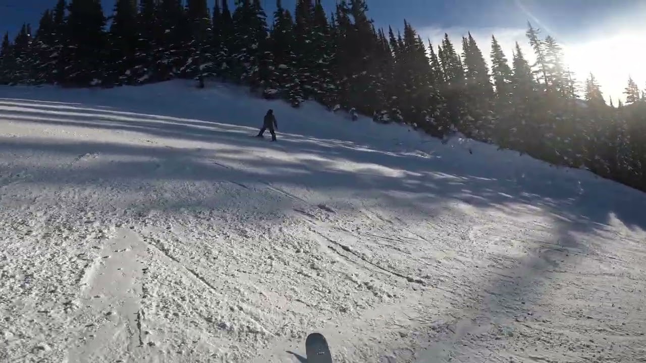 Manning Park Skiing Jan 10