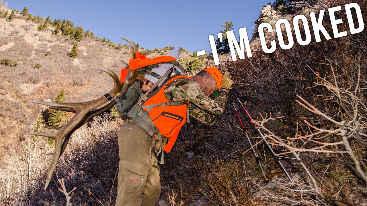 Are You Ready for Elk Season? We Put Ourselves to the Test