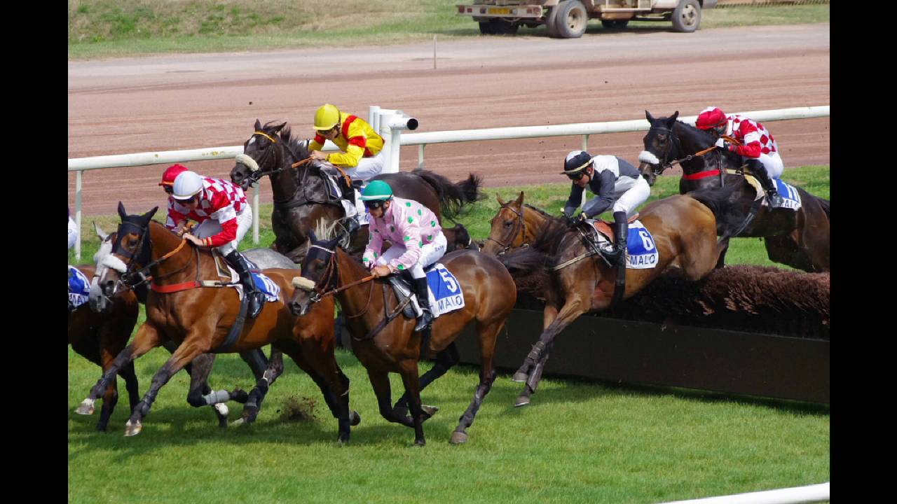Courses de chevaux hippodrome de Saint malo 24 ao&ucirc;t 2016