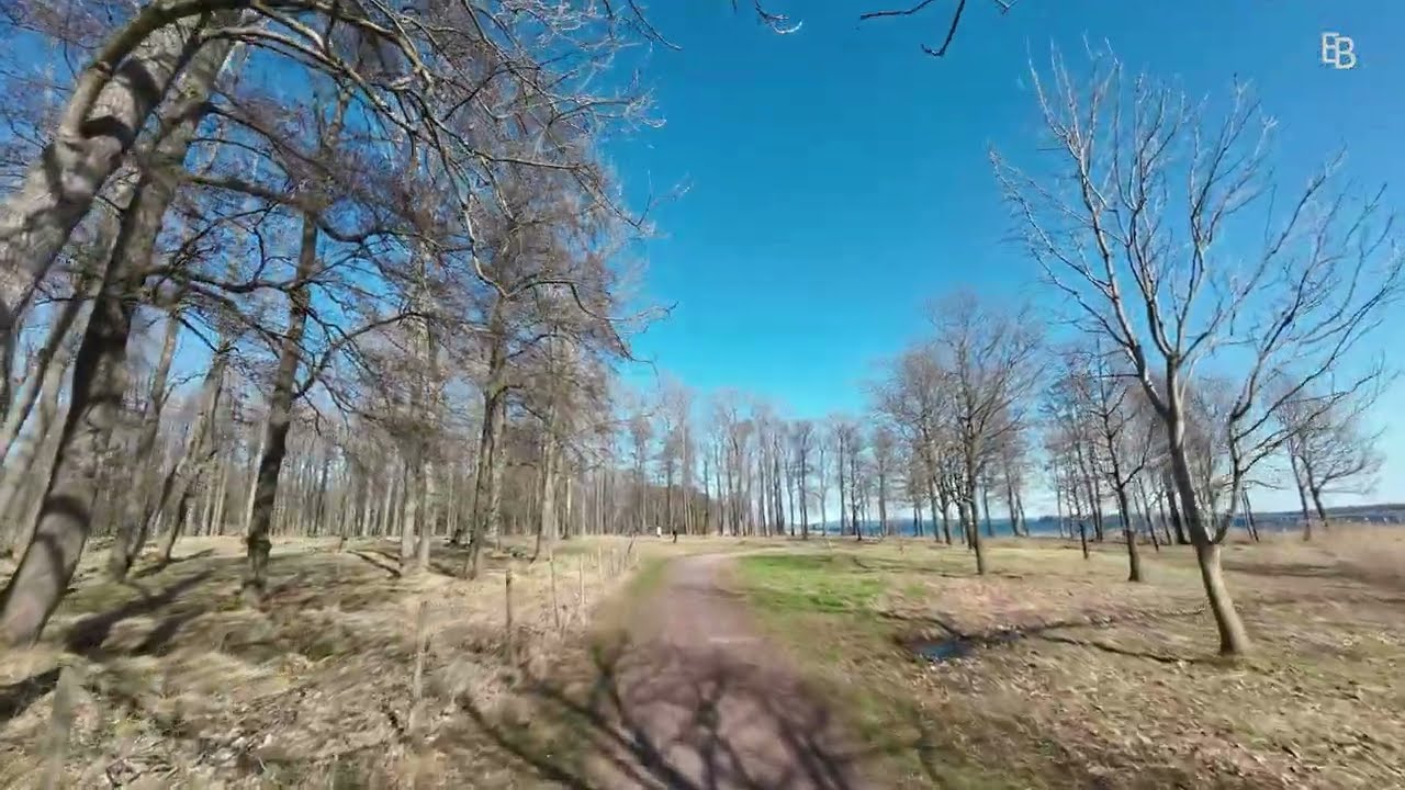 Borrehaugene, Norway 🌿 | Nature Walk with Fresh Spring Vibes