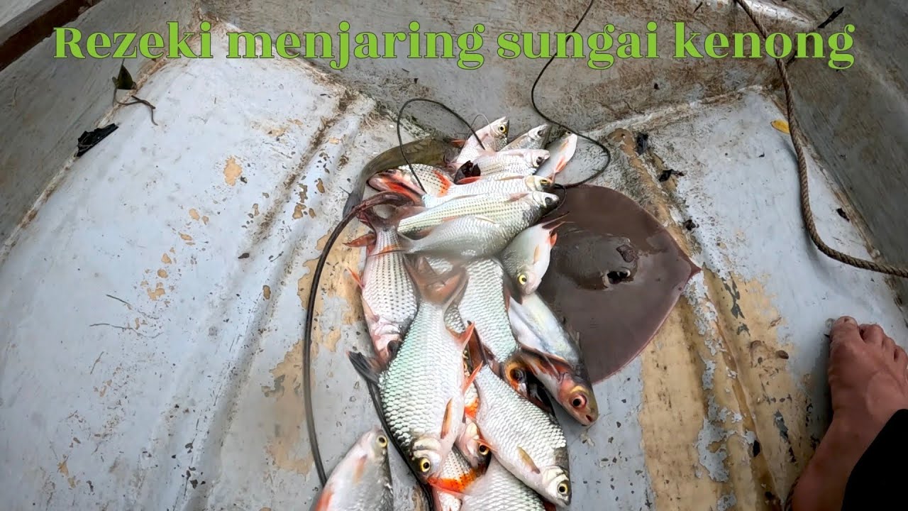 Rezeki menjaring di sungai kenong 