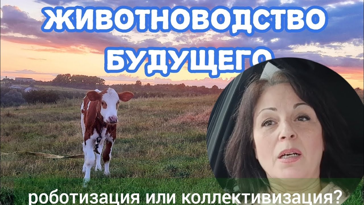 Животноводство будущего. Роботизация или коллективизация? 