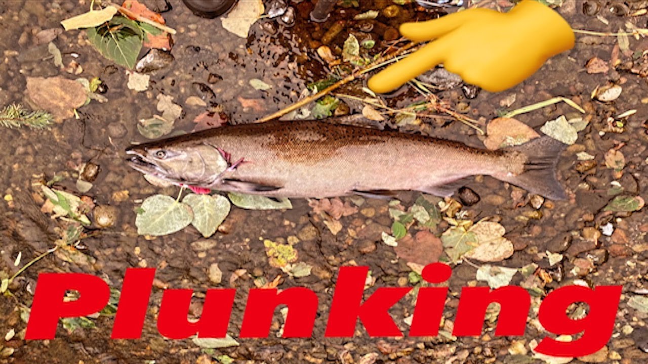 PLUNKING FOR WHAT? Super Easy Salmon Steelhead