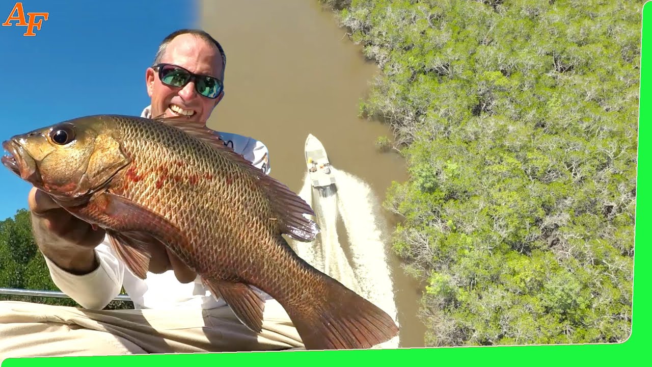 Solo Boat Camping in a remote river Catch and Cook seafood Laksa EP.512