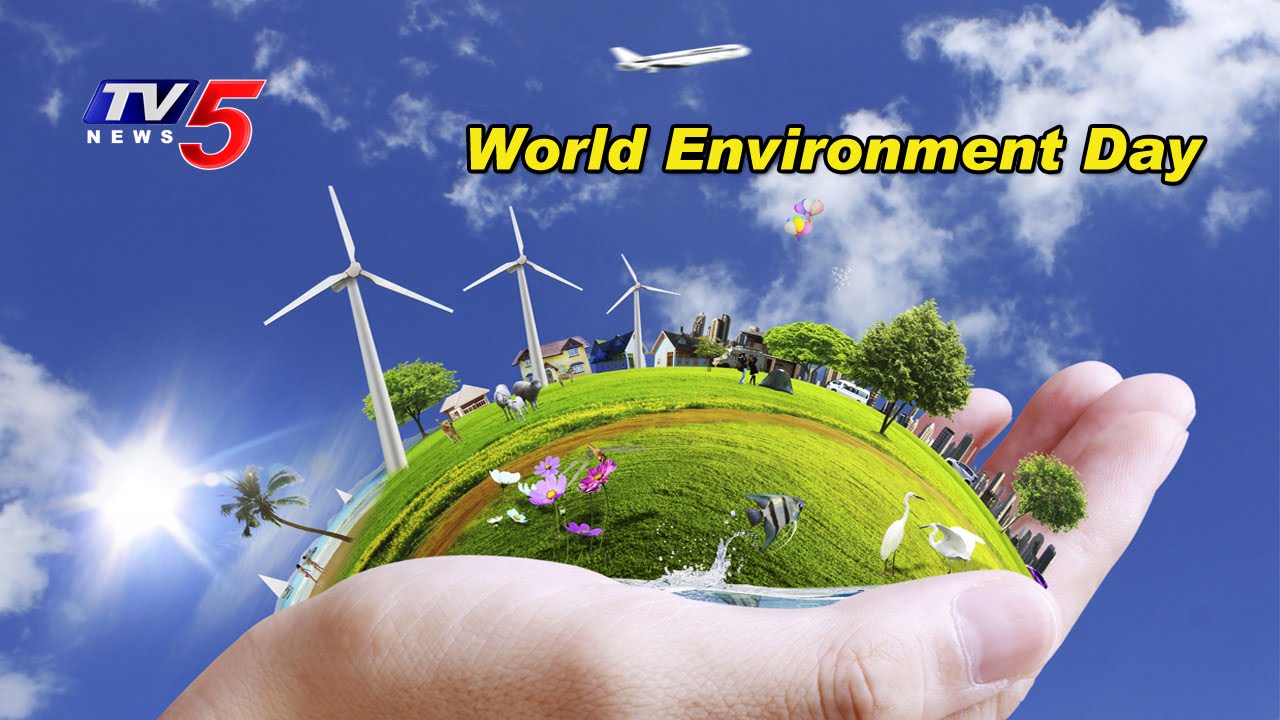 World Environment Day  | Environment Run At Necklace Road | Hyderabad | TV5 News