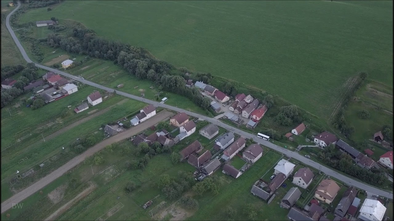 Snakov 2017