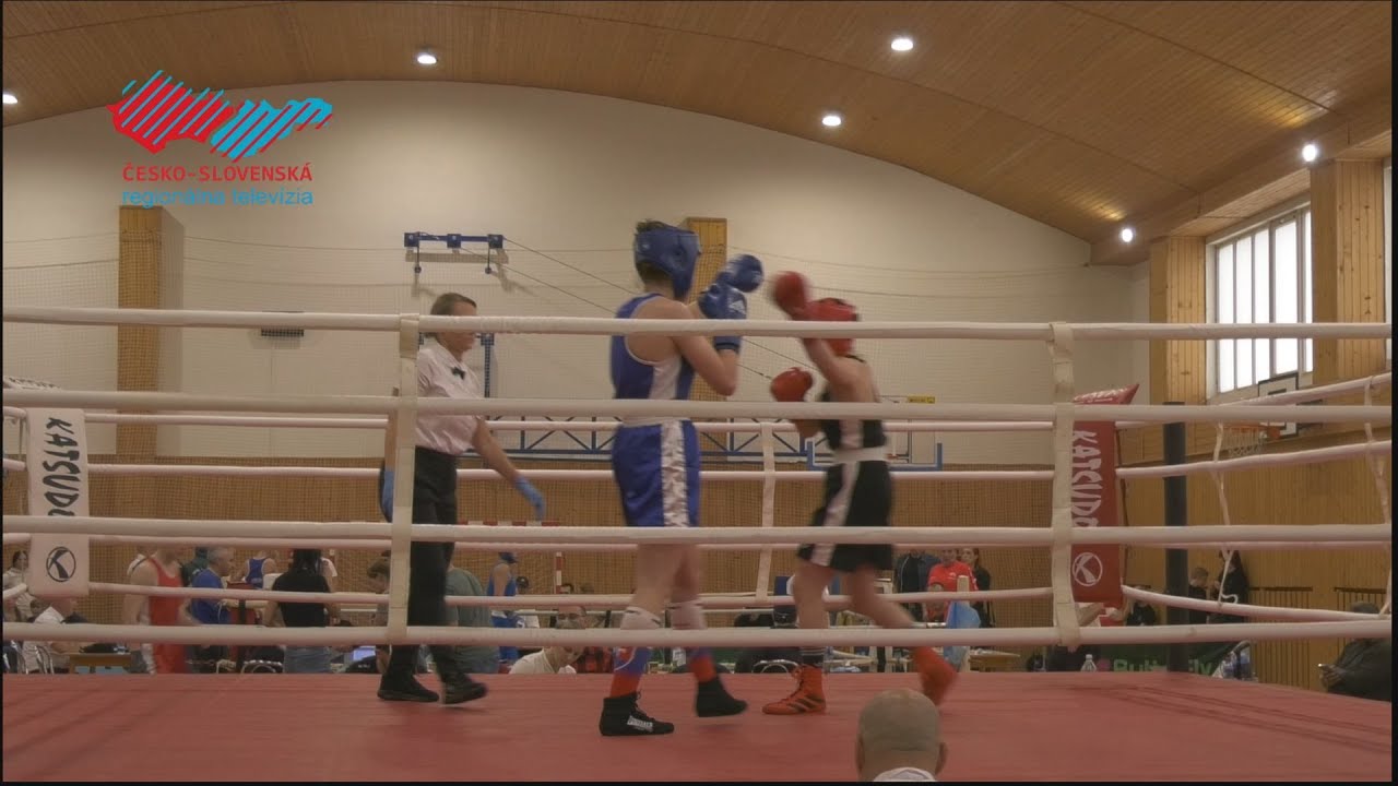 Medzinárodná liga boxu v Holíči
