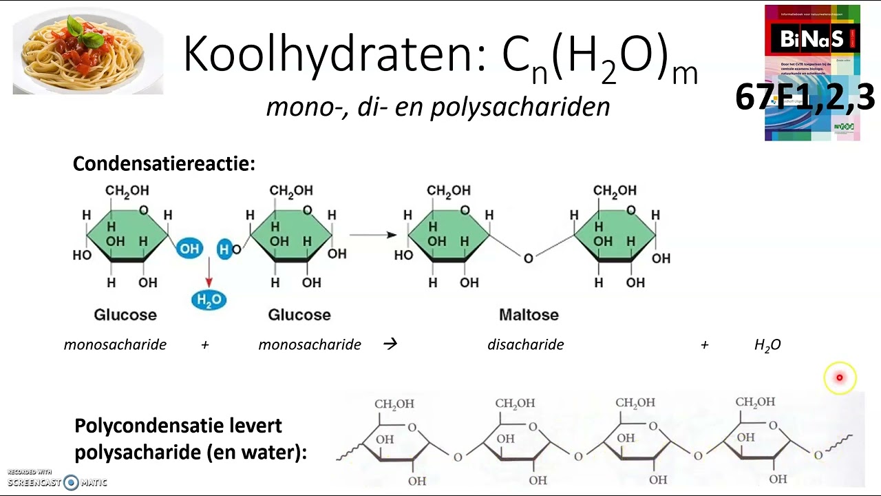 Koolhydraten