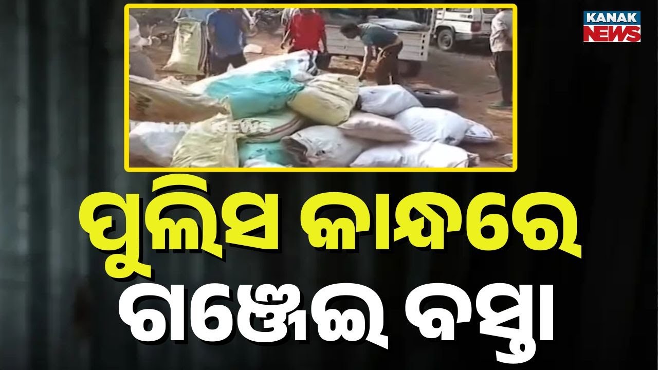 Shocking! Police Personnel Caught Carrying Ganja Sacks from Hills in Boudh