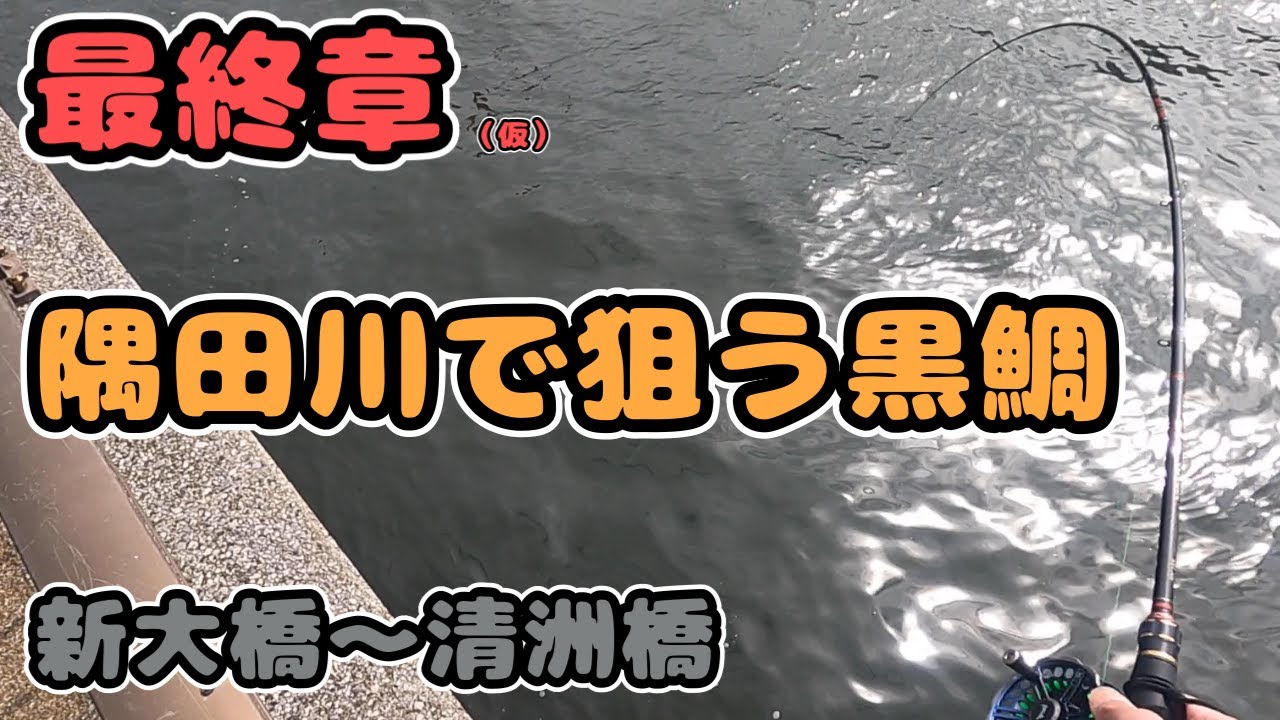 #隅田川 で狙う黒鯛【新大橋〜清洲橋】ヘチ釣り2023.03.12