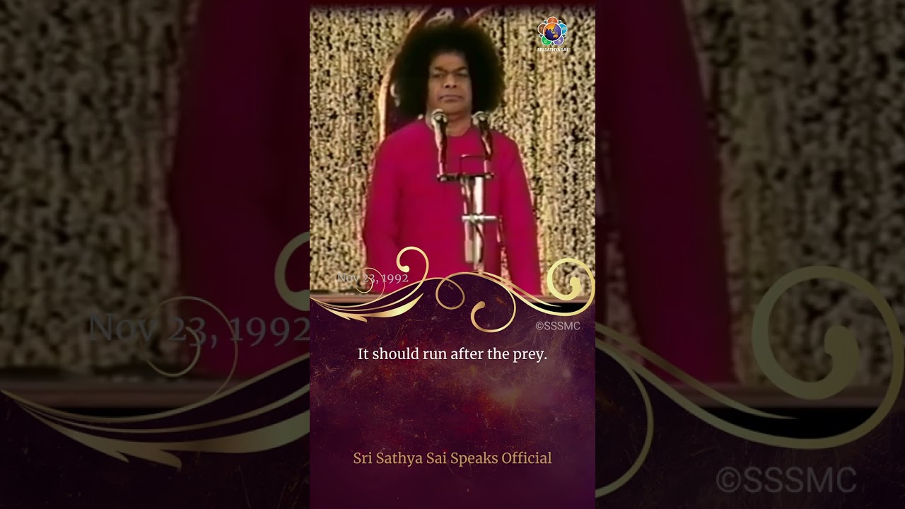 Do not expect God to do everything | Sri Sathya Sai Speaks | Nov 23, 1992
