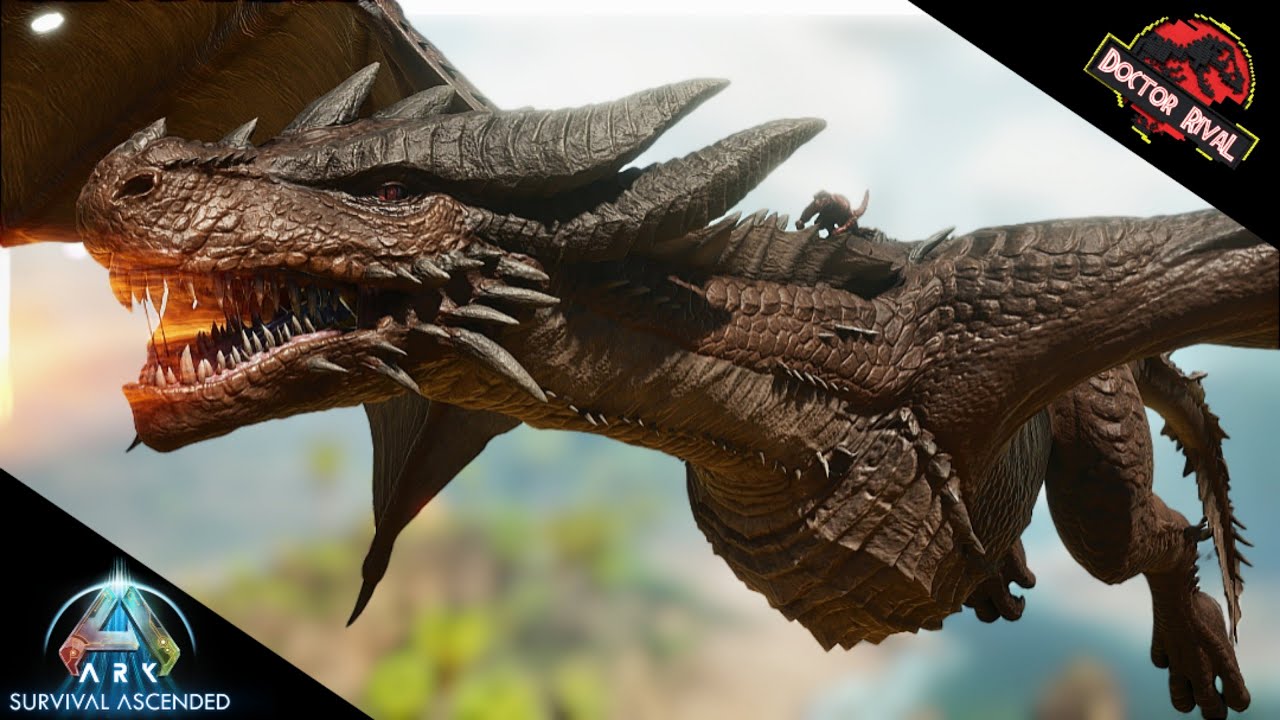 ELDER WYVERN Spotlight || Ark Survival Ascended